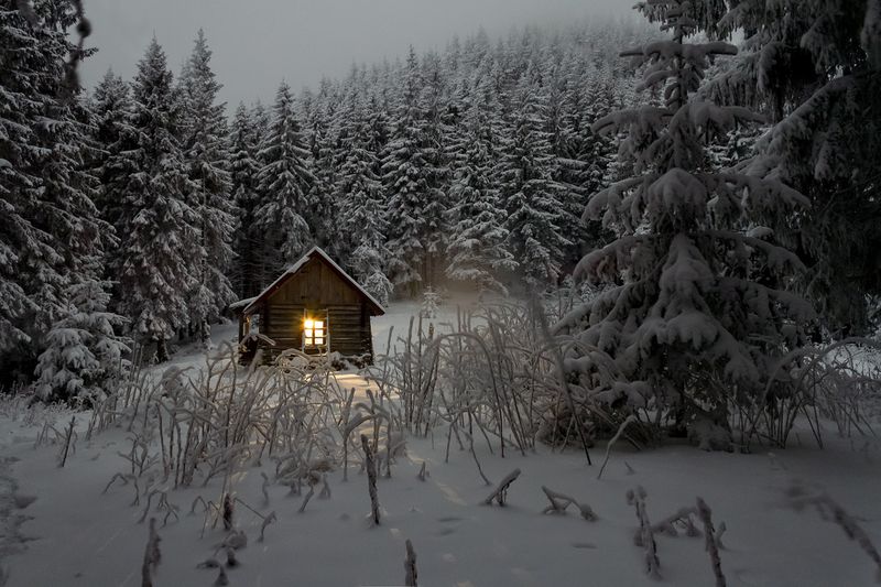 Winter-Depression: Was wirklich hilft