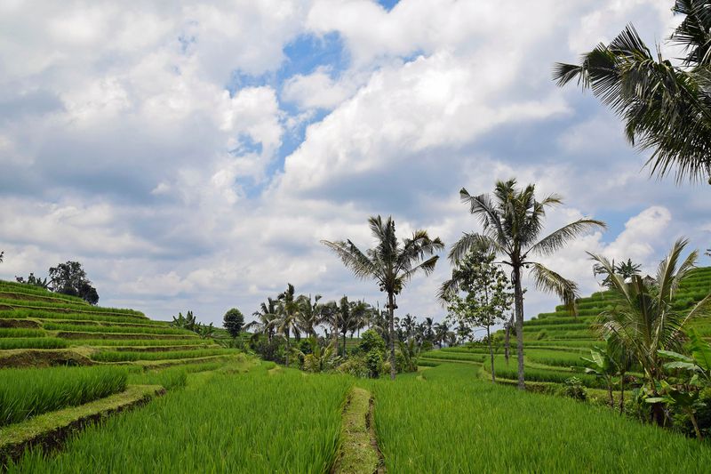 5 Dinge, die du über Indonesien wissen solltest