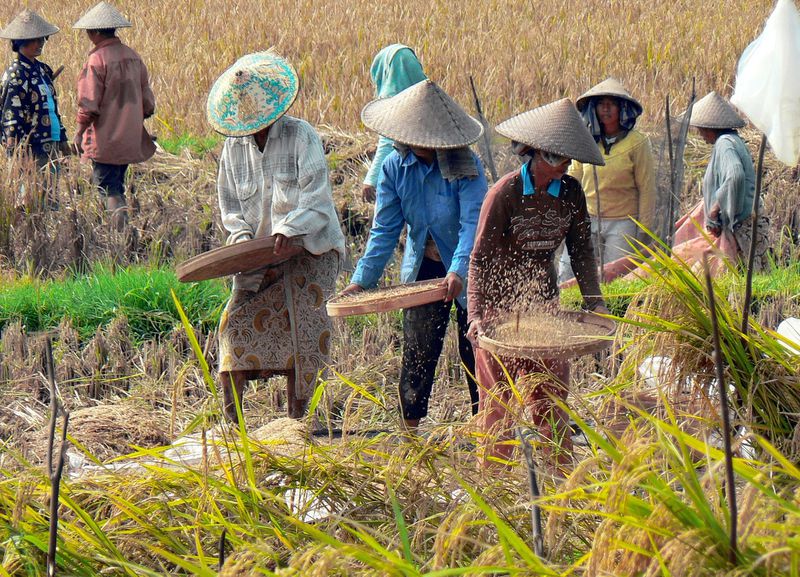 5 Dinge, die du über Indonesien wissen solltest