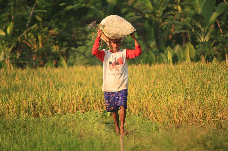 5 Dinge, die du über Indonesien wissen solltest
