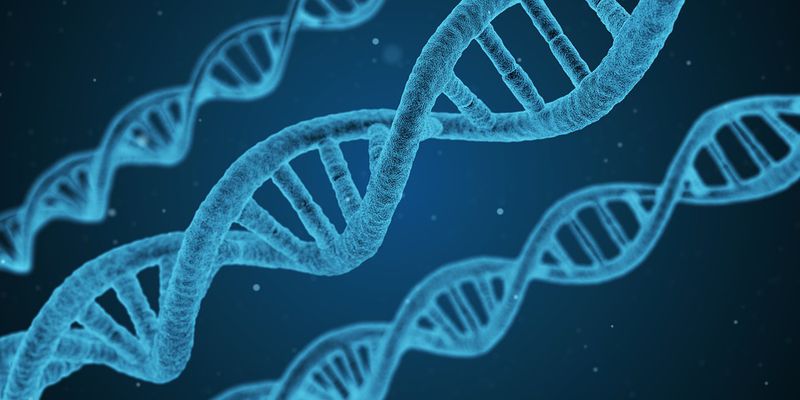 Reiseunternehmen plant Route aufgrund von DNA