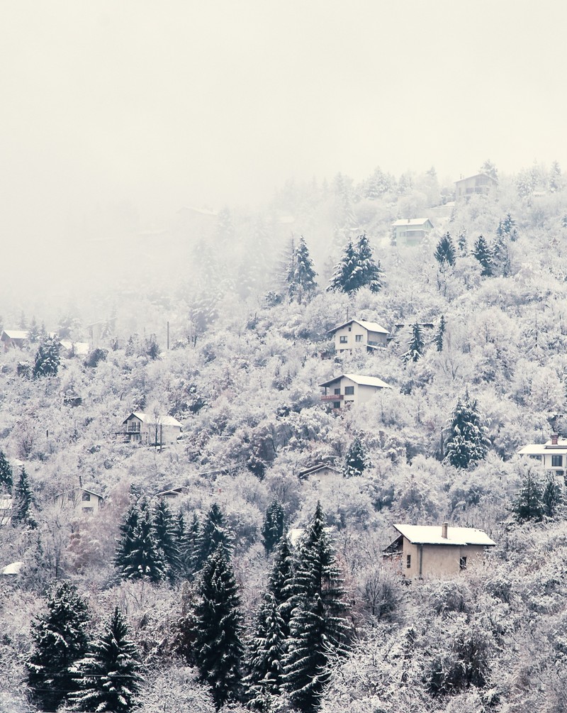 Borowez in Bulgarien ist ein preiswertes Skigebiet nahe Sofia mit 58 km Pisten. Aber auch neben dem Skifahren ist es ein oft unterschätztes Ziel im Winter.