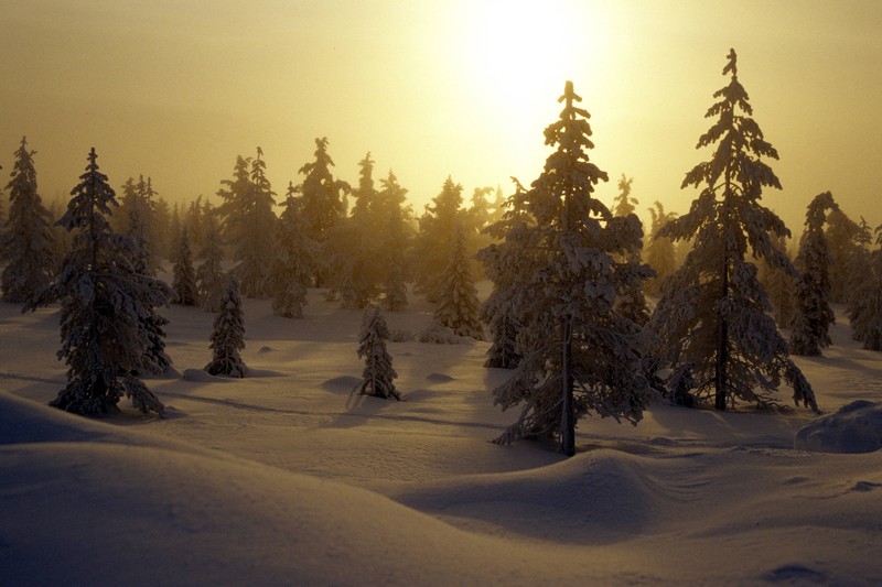 Europa bietet so viele schöne Reiseziele für den Winter, die viele nicht im Blick haben.