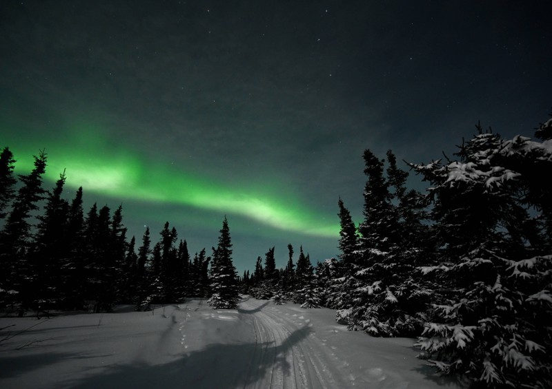 In Fairbanks, Alaska hast du einen guten Blick auf die Polarlichter.