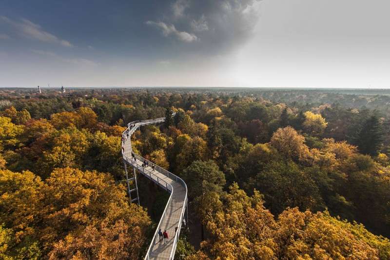 Der Baumkronenpfad in Beelitz führt dich über die Dächer verlassener Heilstätten.