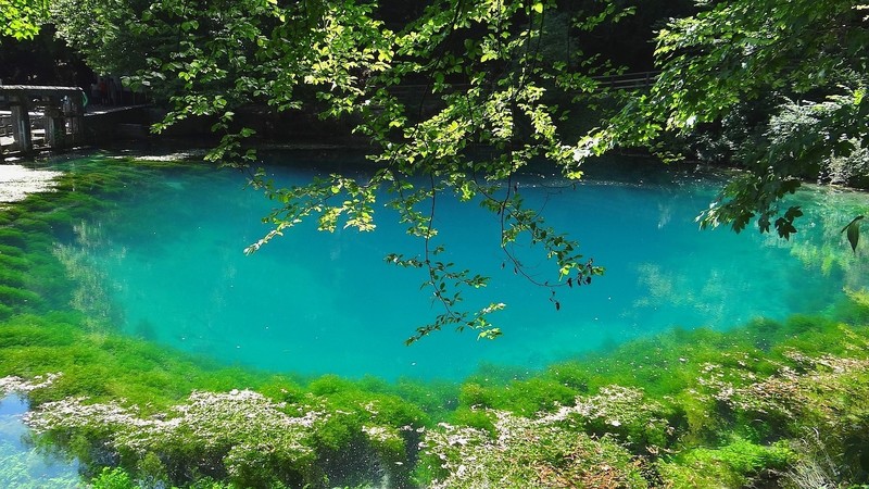 Der Blautopf sieht aus wie aus einer anderen Welt.
