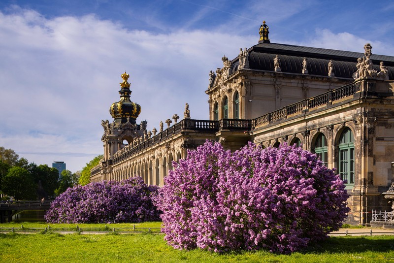 Der Zwinger ist in Dresden zu finden.