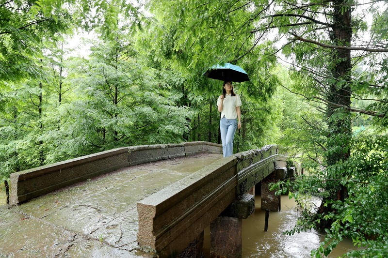 Eine Frau spaziert über eine wunderschöne Brücke