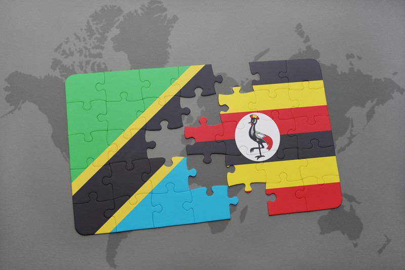Die Länder Tansania und Uganda grenzen aneinander.