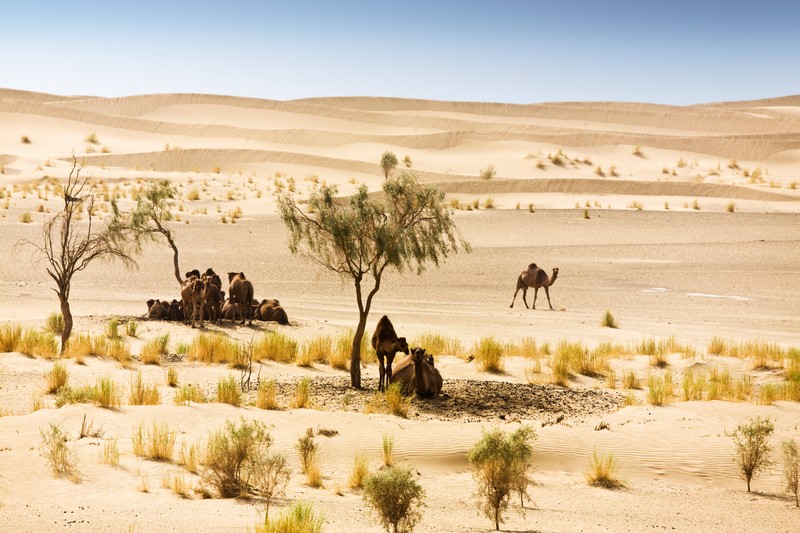 Um das Visum für die Einreise in Turkmenistan solltest du dich so früh wie möglich kümmern.