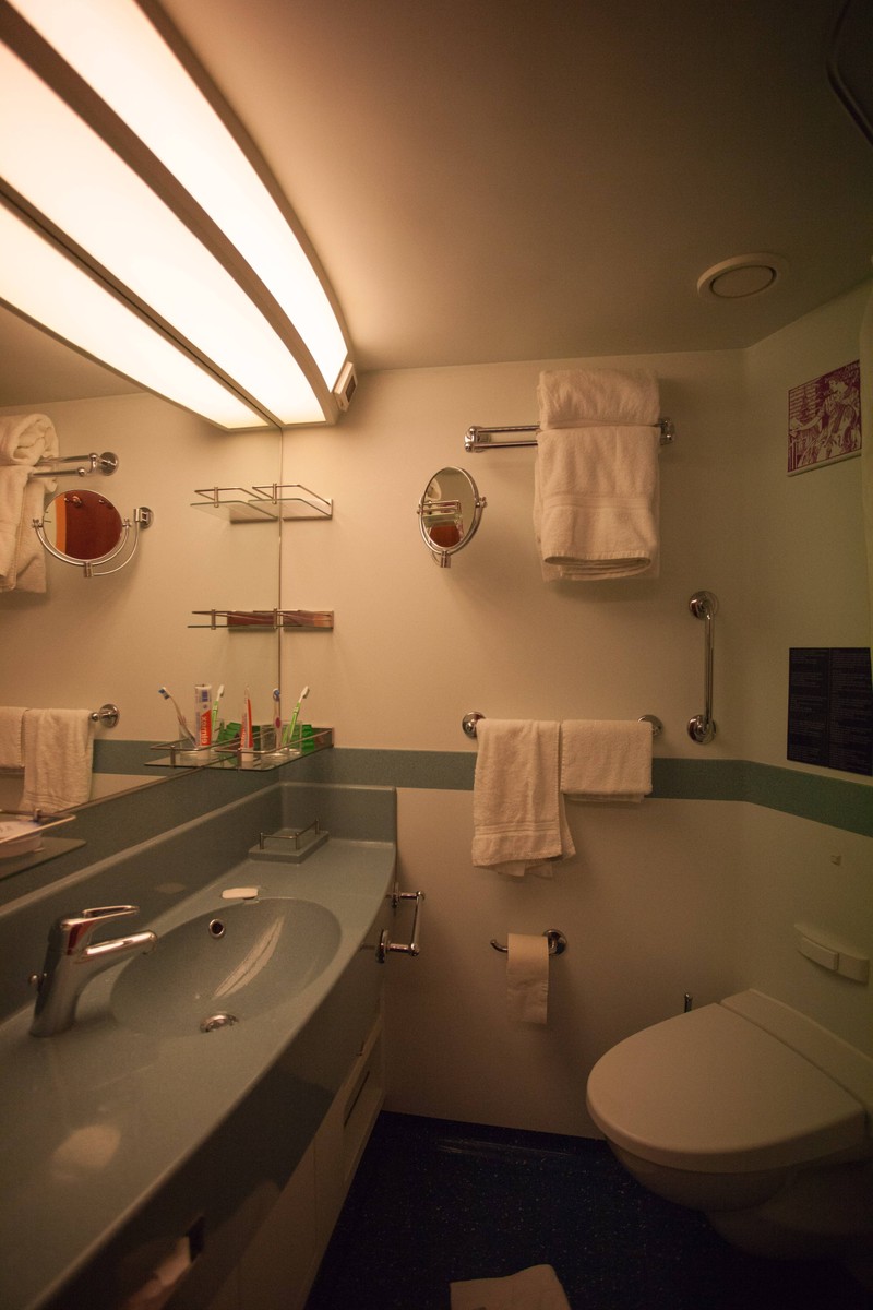 Leider müssen Passagier*innen von Schiffen auch mit verstopften Toiletten rechnen.