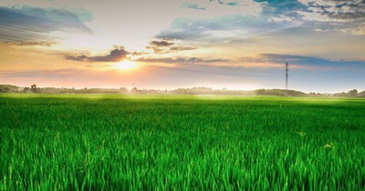Sechs der grĂŒnsten Landschaften der Welt