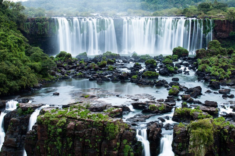 Kein Land kann die Landschaft von Brasilien toppen. Die Regenwälder, die Strände und die Artenvielfalt sind einfach unglaublich