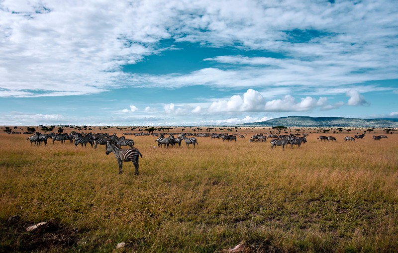 Tansania hat eine der atemberaubendsten Landschaften.