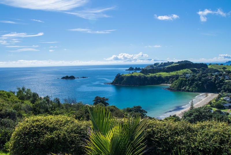 Der FKK-Strand  von Little Palm Beach liegt auf der Insel Waiheke.