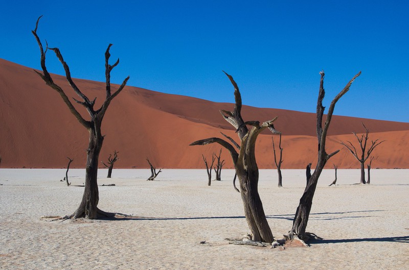 Namibia: Afrika für Einsteiger
