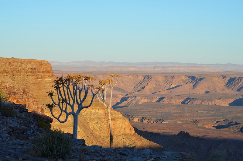 Namibia: Afrika für Einsteiger