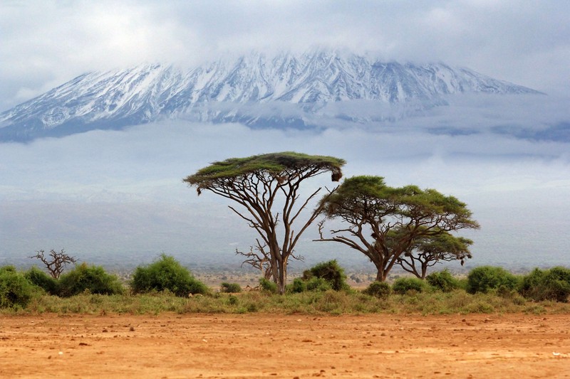 Der Kilimandscharo könnte in den nächsten Jahren seine Eisschichten komplett verlieren.