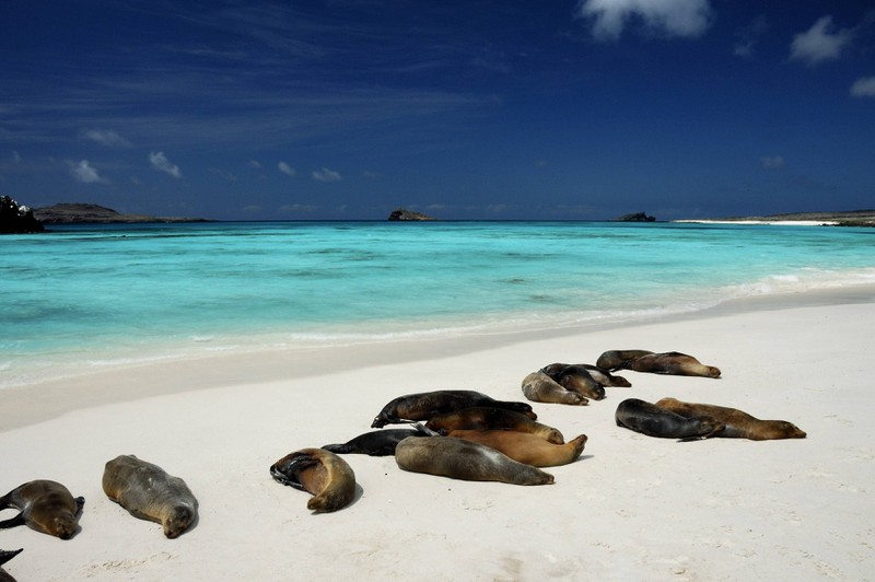 Die Galapagos-Inseln wurden durch Tourismus in Mitleidenschaft gezogen.