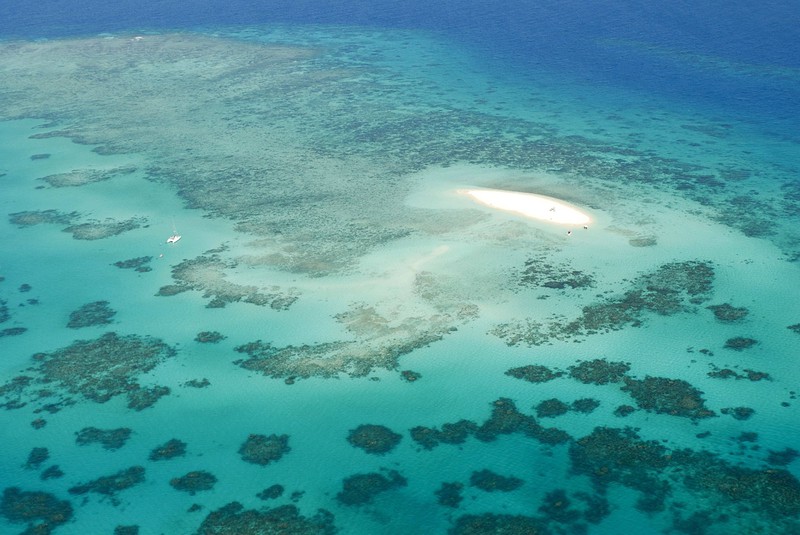 Steigende Wassertemperaturen und -verschmutzung sind der Grund für die Zerstörung des Great Barrier Reef.