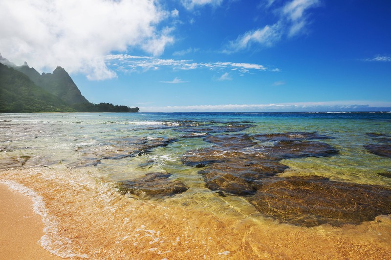 Kauai ist eine sogenannte Garteninsel und ist bei Kunstliebhabern beliebt.