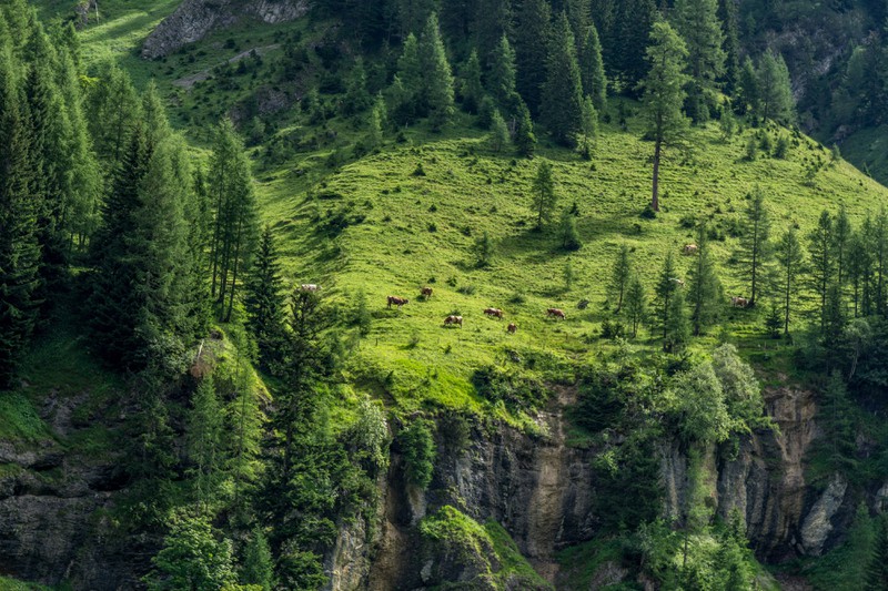 Das Karwendelgebirge sollte für Bergsteiger und naturverbundene Wanderer ein Paradies sein.