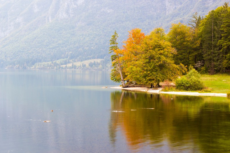 Der Bohinj See in Slowenien ist ein echter Geheimtipp.