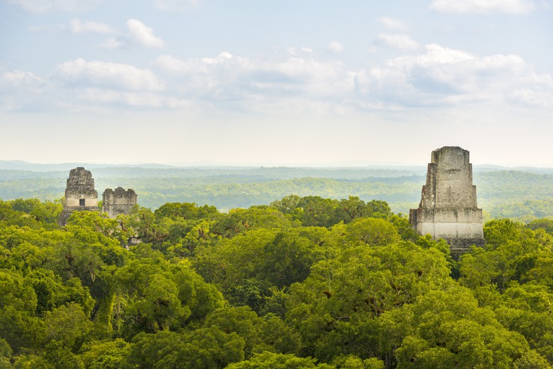 Der Tikal National Park in Guatemala diente als Drehort für die berühmten Star-Wars-Filme.