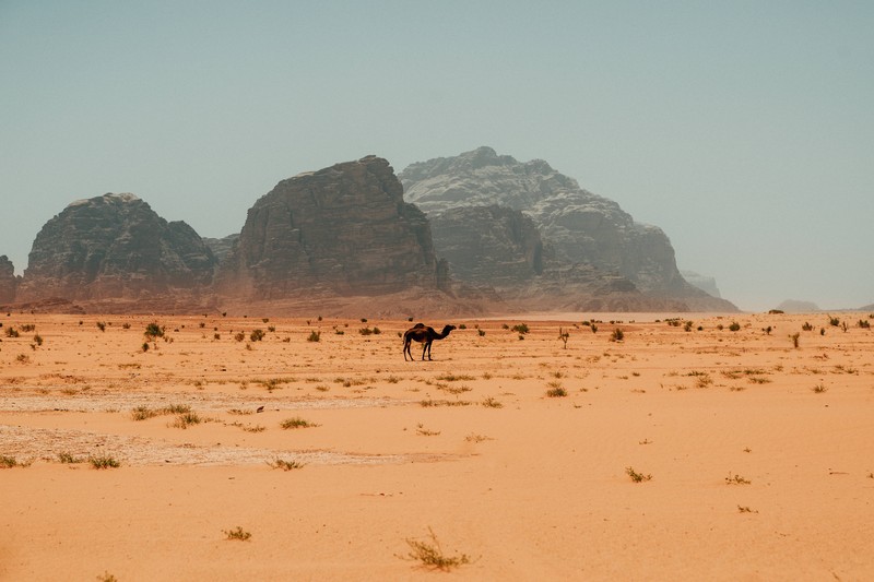 Die Wüste von Wadi Rum in Jordanien, bekannt aus „Lawrence von Arabien“ und „Der Marsianer“, ist eine fast außerirdische Kulisse.