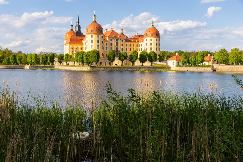 Schloss Moritzburg in Sachsen ist vor allem durch den Märchenklassiker „Drei Haselnüsse für Aschenbrödel“ bekannt.