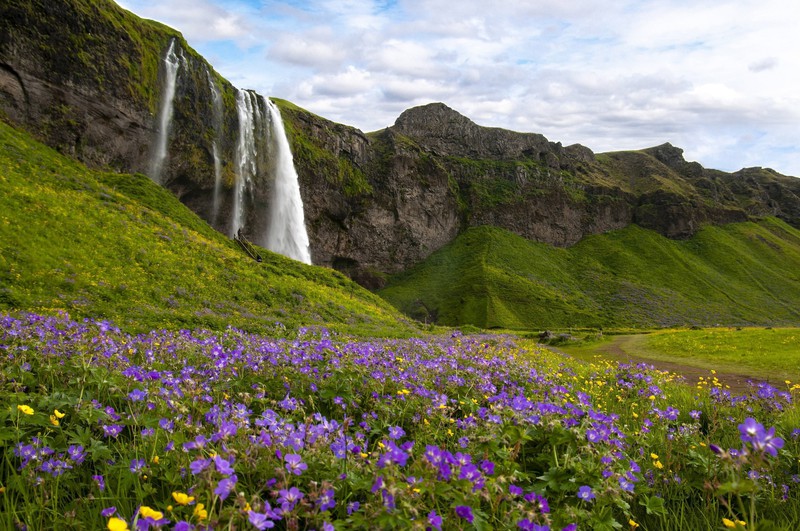 Island kann eine wahre Frohnatur sein.