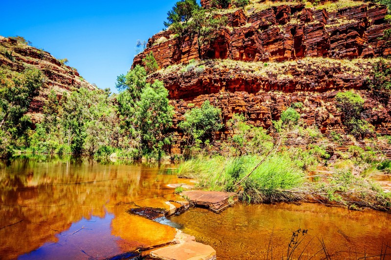 Die Landschaft des Karijini-Nationalparks wird dich begeistern!