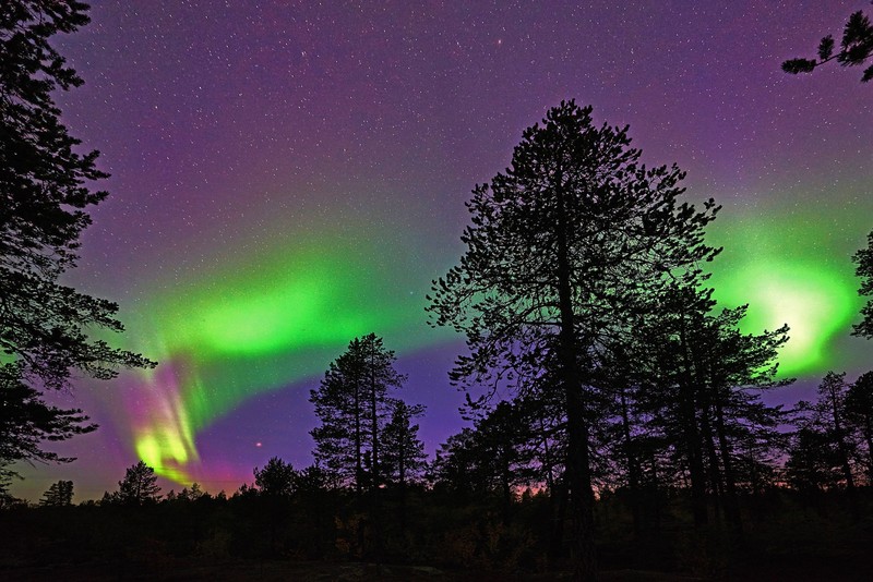 Die Polarlichter sind ein echtes Spektakel, was man mal gesehen haben sollte.
