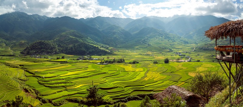 Die terassenförmigen Reisfelder in Vietnam sind wirklich sehenswert!