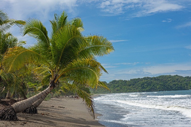 Costa Rica hat viel Natur zu bieten, für die man bereit sein muss.