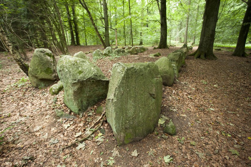 Der Everstorfer Forst in MV ist wegen seiner Steinansamlung bekannt und magisch