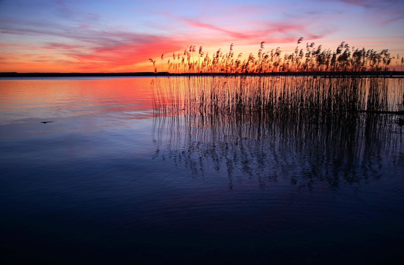 Der Plauer See in Mecklenburg-Vorpommern ist einer der schönsten Badeseen