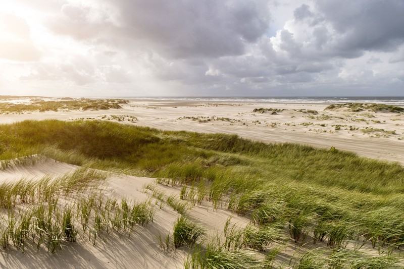 Die Ruhe am Strand von Norderney hat eine unvergleichbare Anmut.