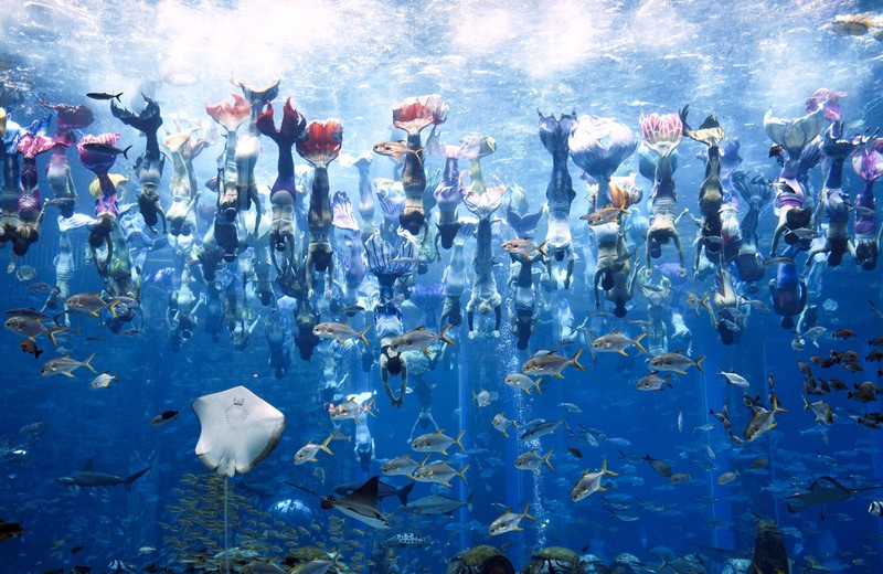 Im Atlantis Sanya in China gibt es eine unglaubliche Unterwassershow.
