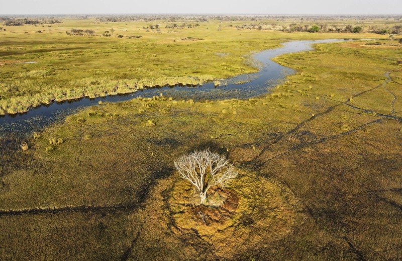 Dieses Bild zeigt das Okavango Delta in Botswana, einen Ort, den man beim Reisen gesehen haben muss.