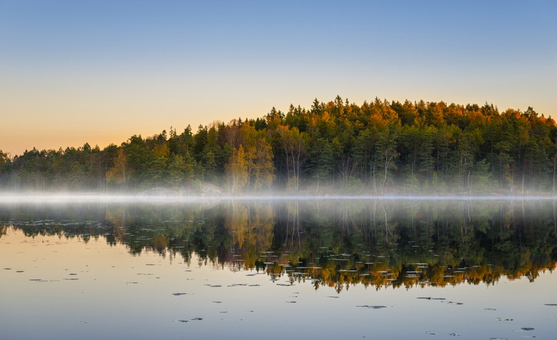See von Schweden