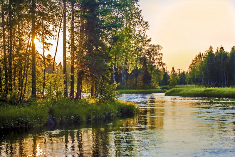 Wildnis in Finnland