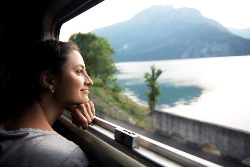 Far schaut aus dem Fenster im Zug