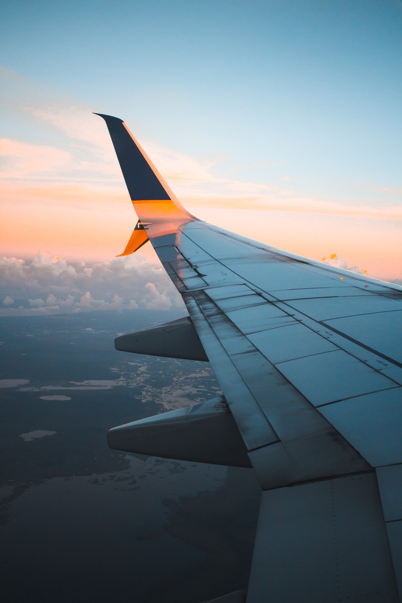 Flug