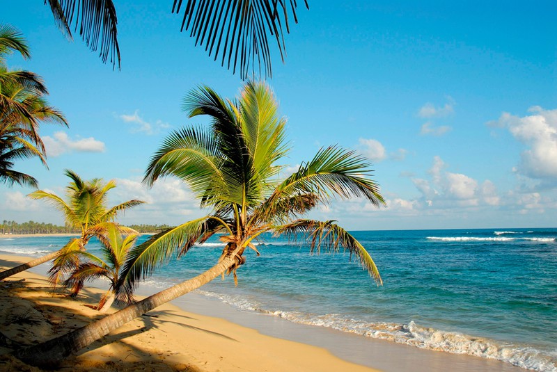 Die Dominikanische Republik ist ein schönes Reiseziel im Dezember.