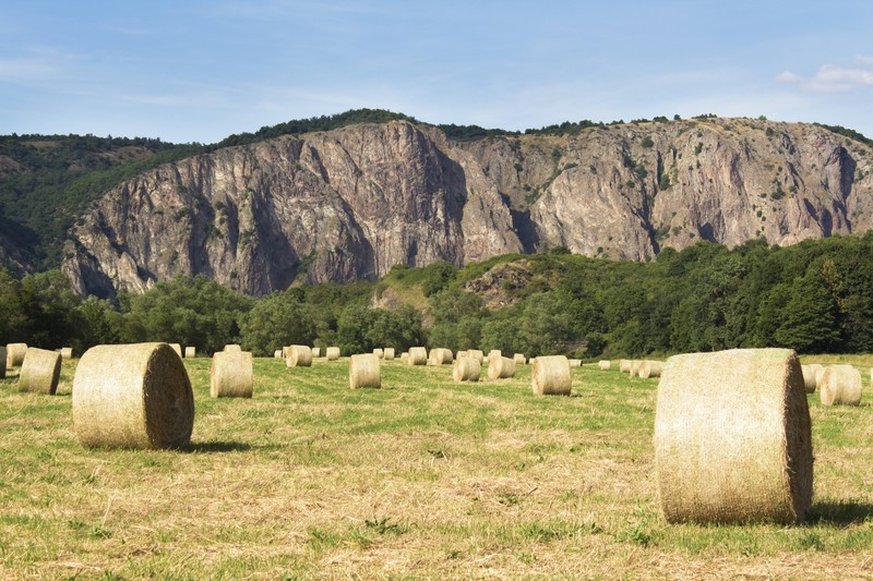 Gefährlich und gruselig zugleich ist der Rotenfels in Ebernburg.