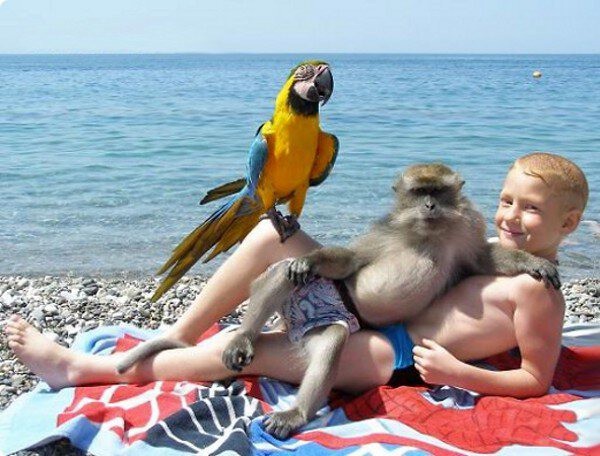 Manche Leute sind so tierisch gut befreundet, dass sie am Strand ein Erinnerungsfoto brauchen.