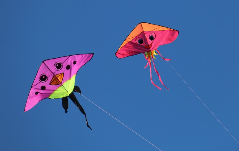 Drachensteigen lassen ist eine gute Aktivität mit Kindern