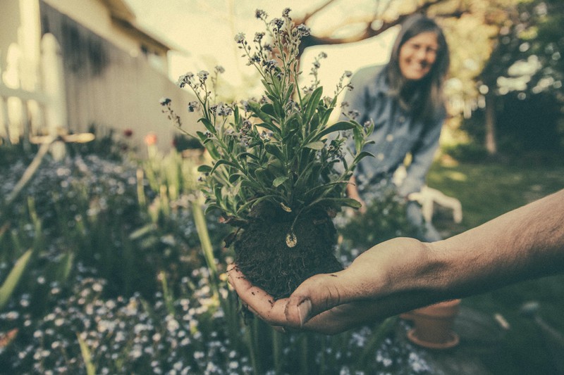Gartenarbeit kann für Urlaubsgefühle sorgen