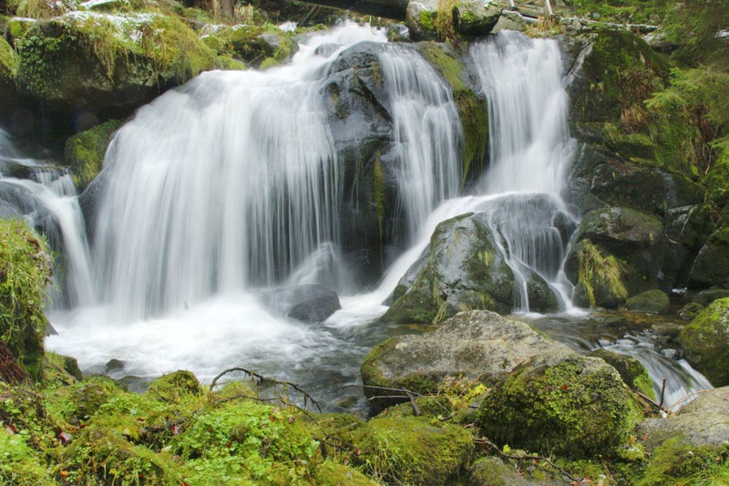 Die Triberger Wasserfälle sehen aus wie aus einem Märchen.